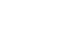 BigID.png